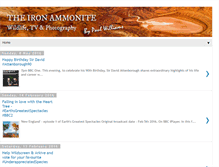 Tablet Screenshot of ironammonite.com